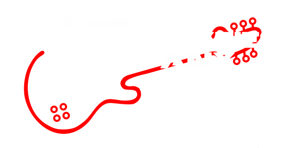 Roaring Sixties Company